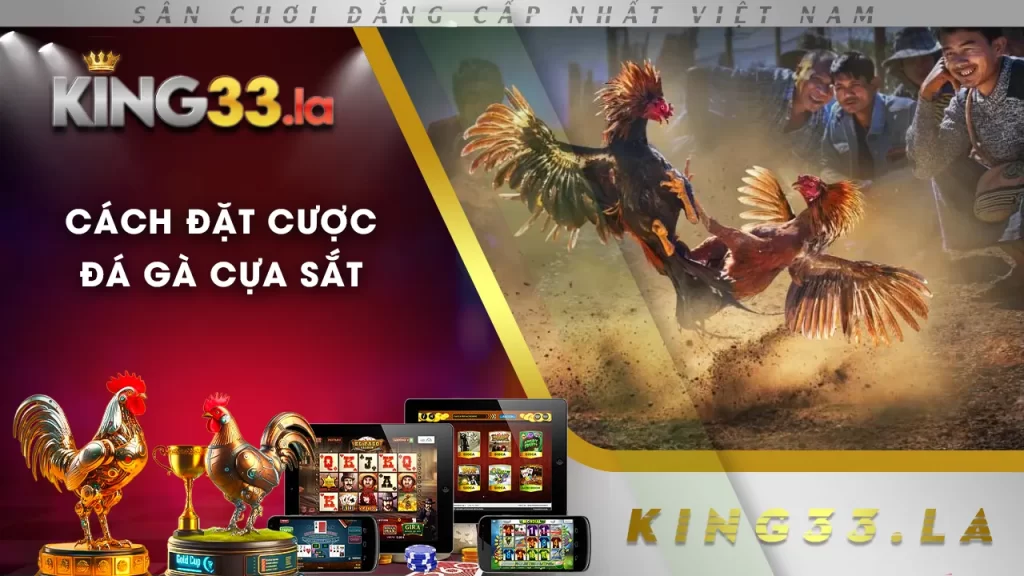 đá gà cựa sắt king33 01