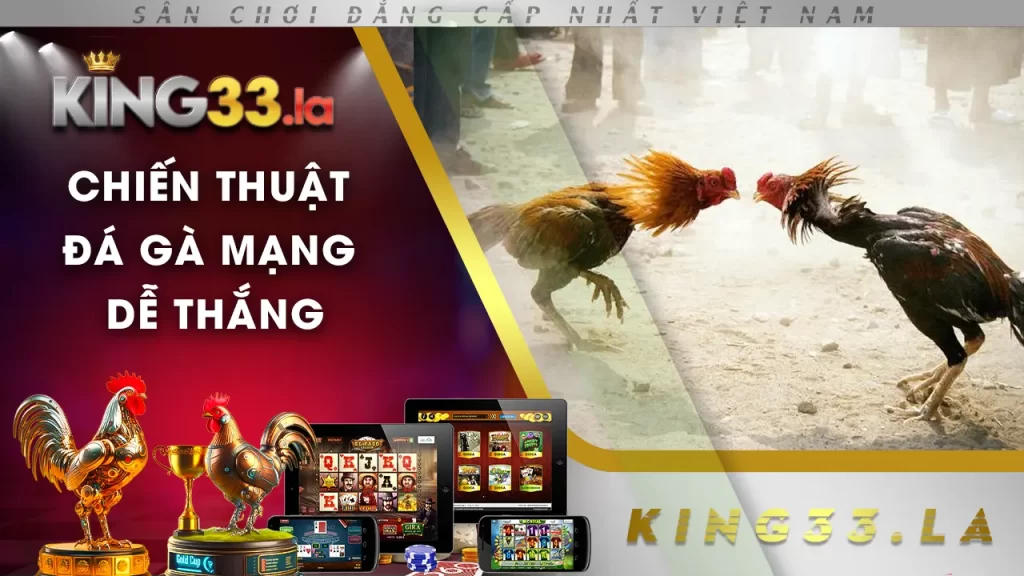 đá gà mạng king33 02